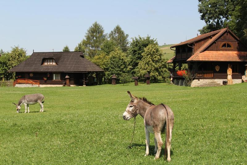 Dom Goscinny W Bartniku Stroze  Bagian luar foto